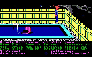 Swimmingpool: Benutz Kettens�ge mit alter Baum